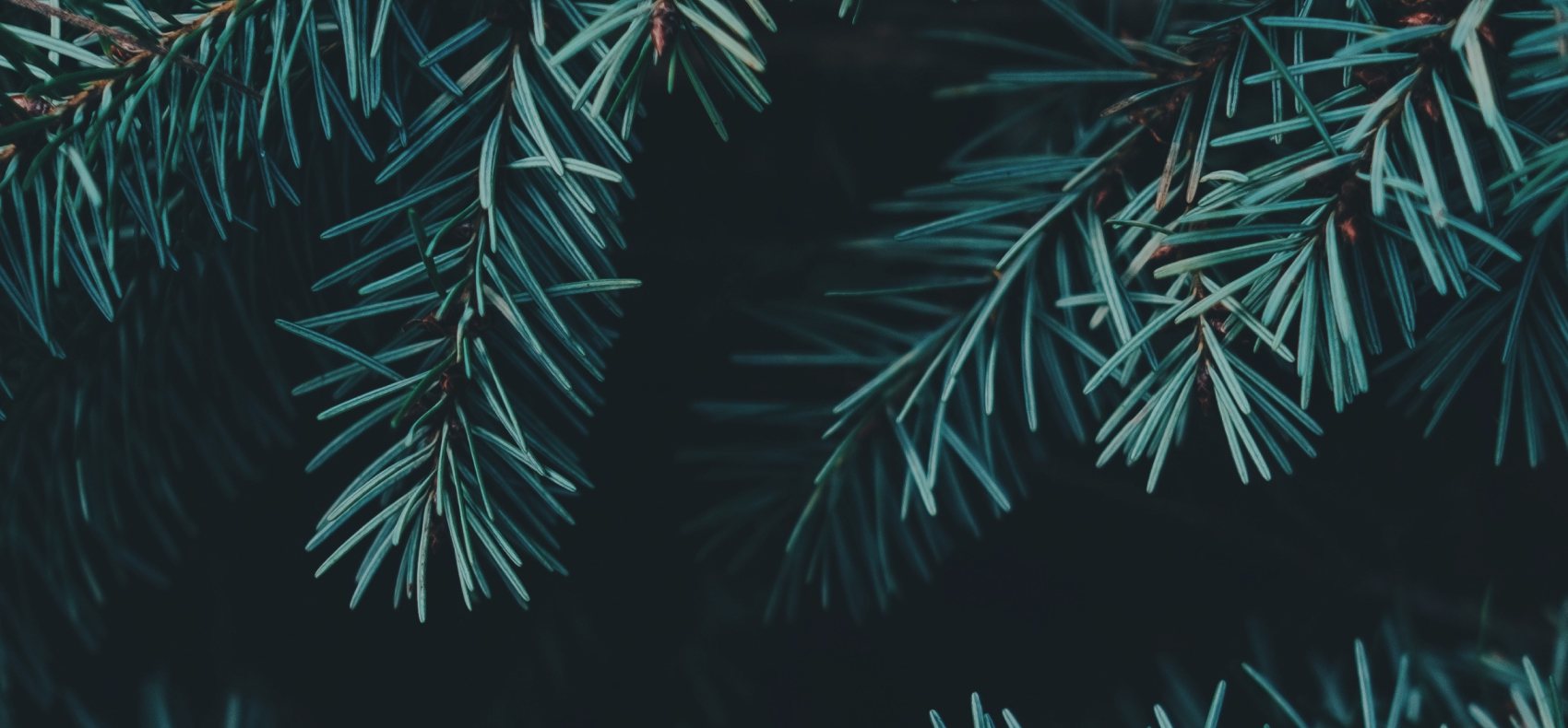 slide-1