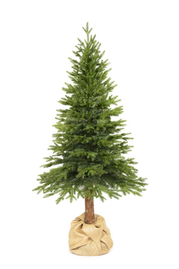 ŚWIERK NATURALNY PE NA PNIU 200 cm - Image 2