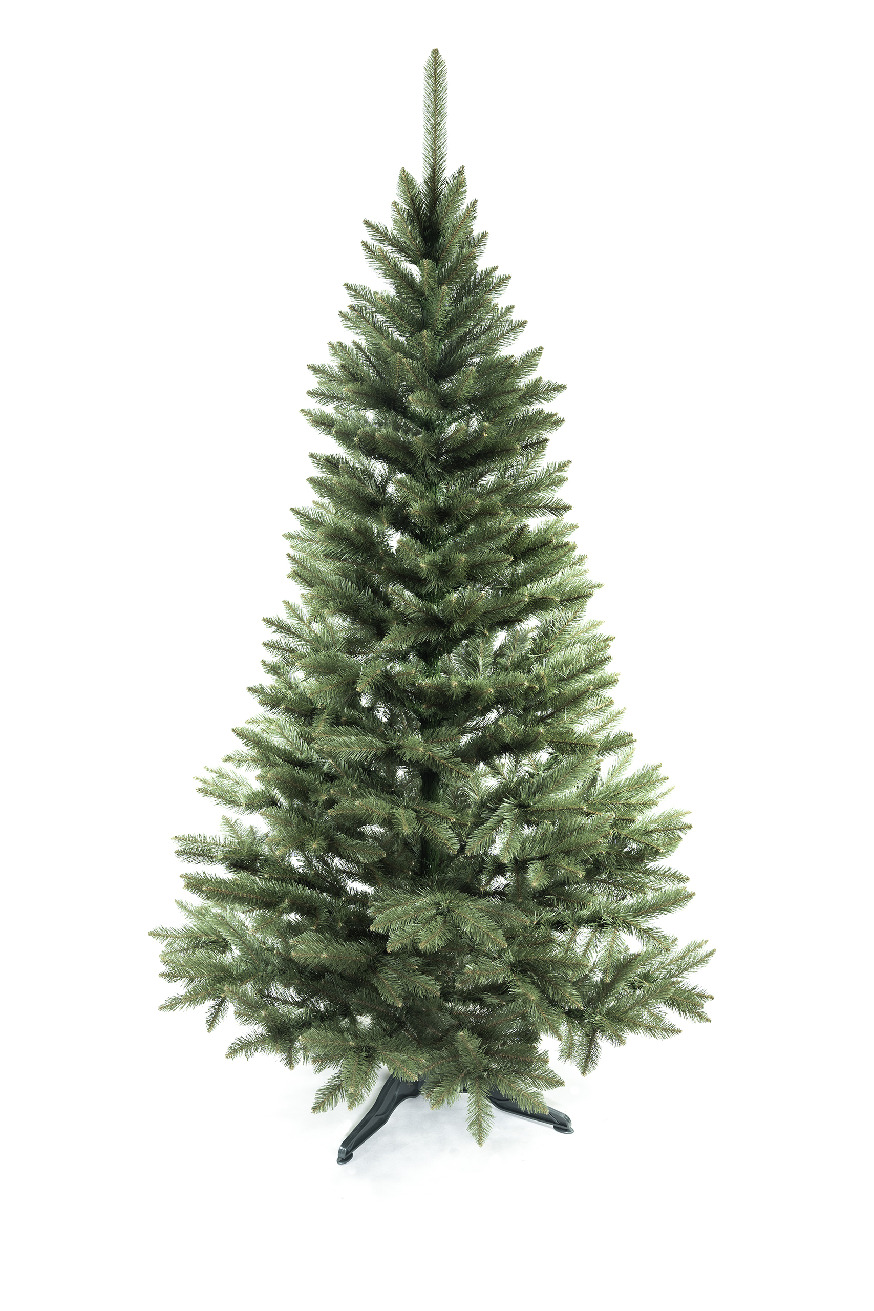 ŚWIERK KAUKASKI 220 cm - obrazek 3