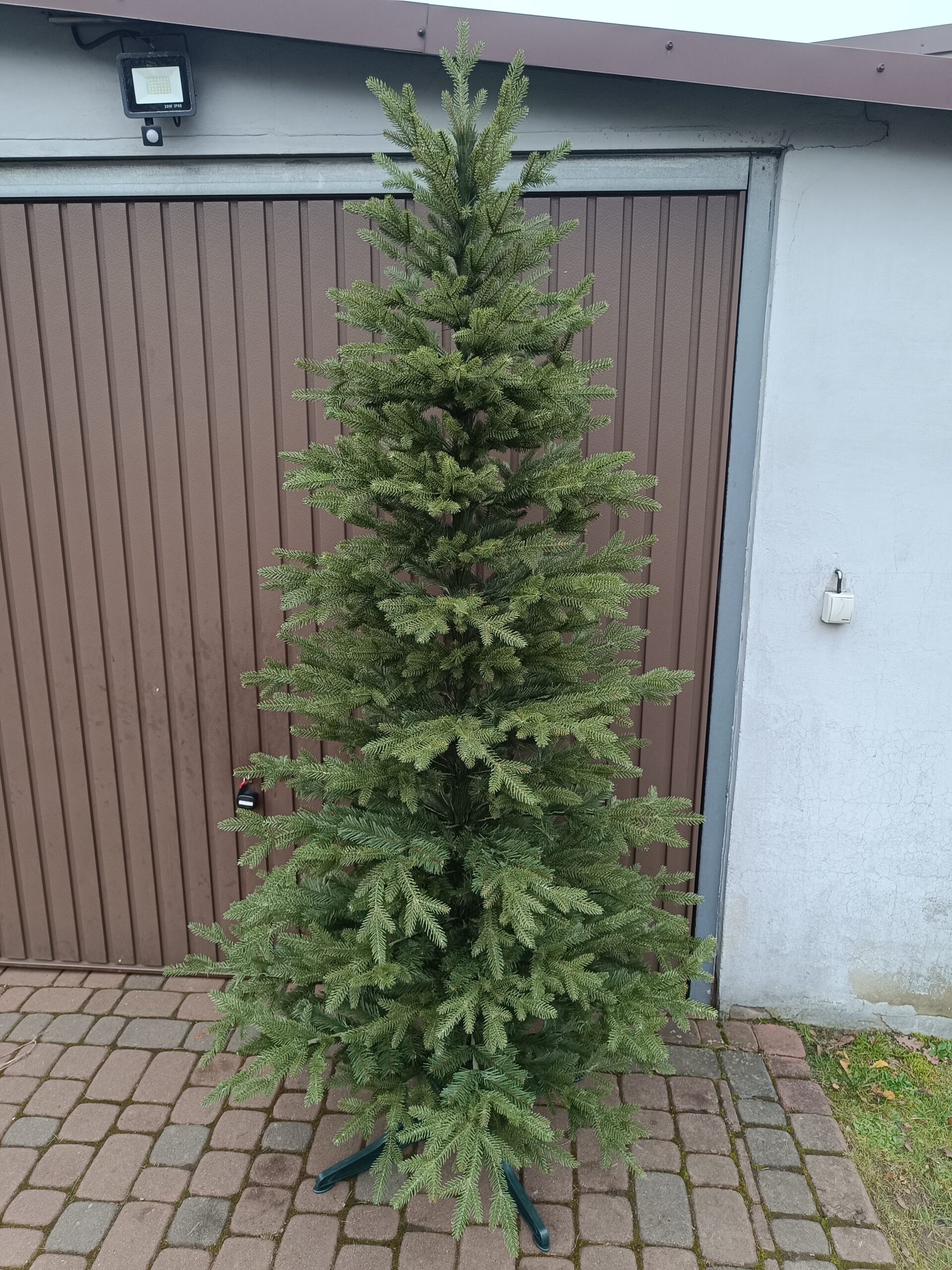 ŚWIERK SYBERYJSKI PE 230 cm wersja slim - obrazek 5